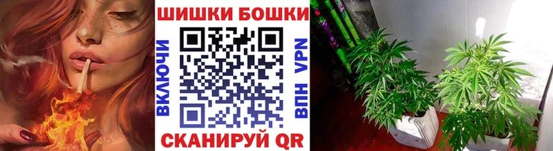 Канабис AK-47  купить закладку  Казань 